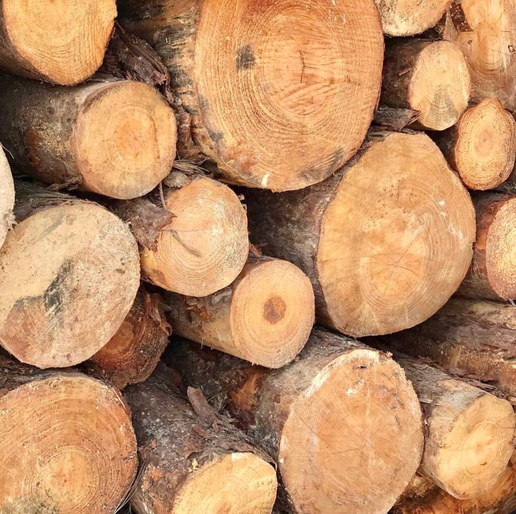 madera_pino